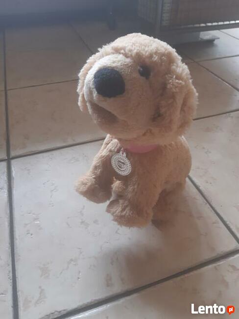 Pies interaktywny na baterię