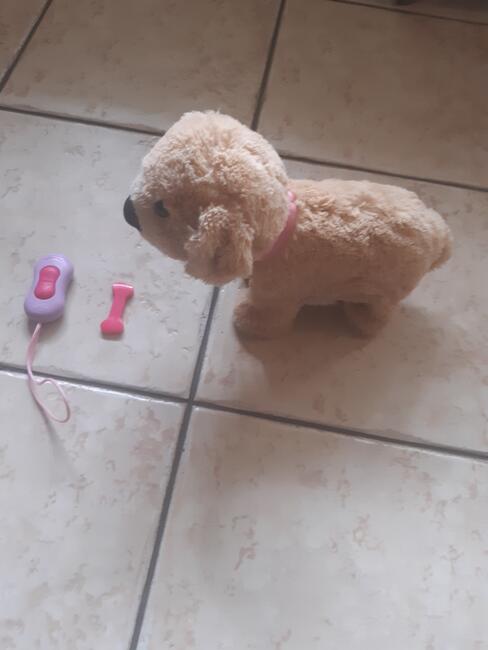 Pies interaktywny na baterię