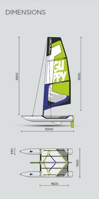 Czarter dmuchanego katamaranu Minicat Guppy