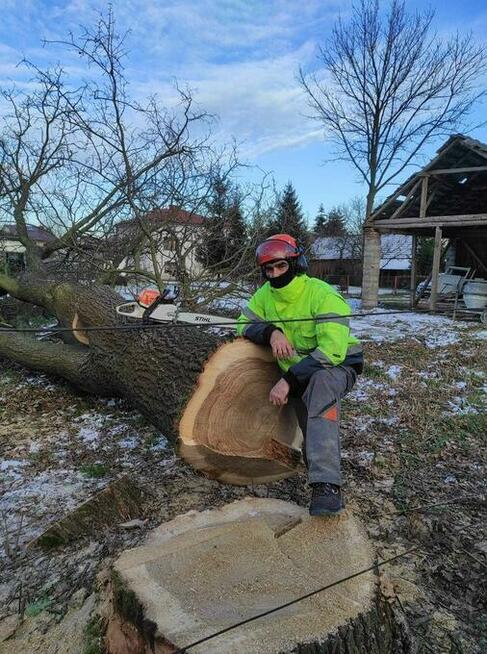 frez do pni wycinka drzew rębak do galezi