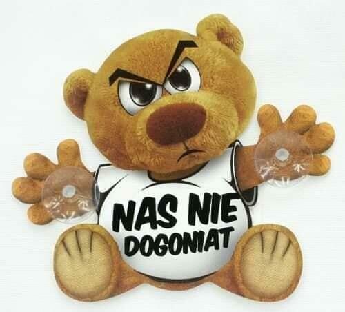 frez do pni wycinka drzew rębak do galezi