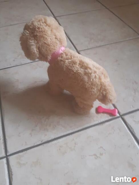 Pies interaktywny na baterię