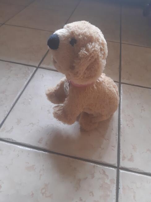 Pies interaktywny na baterię