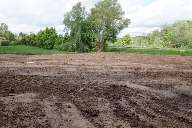 Nieruchomość inwestycyjna w miejscowości Golubka