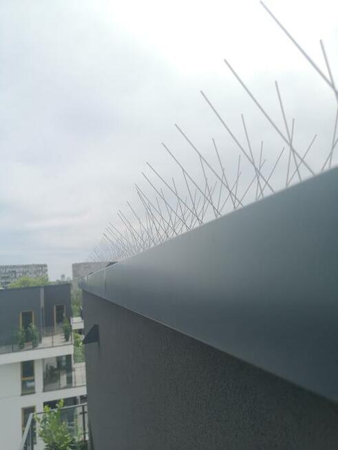 Montaż kolców przeciw ptakom