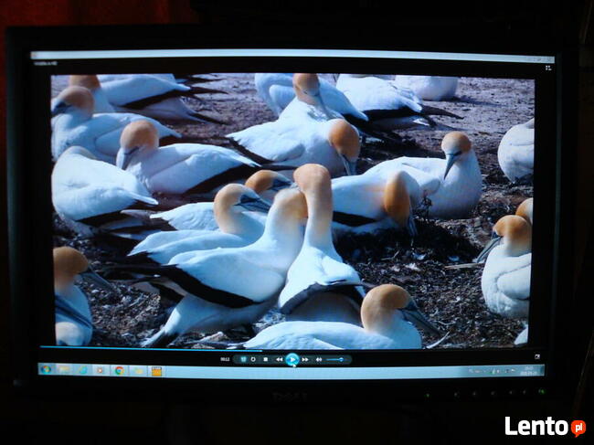 MONITOR DELL 20 cali