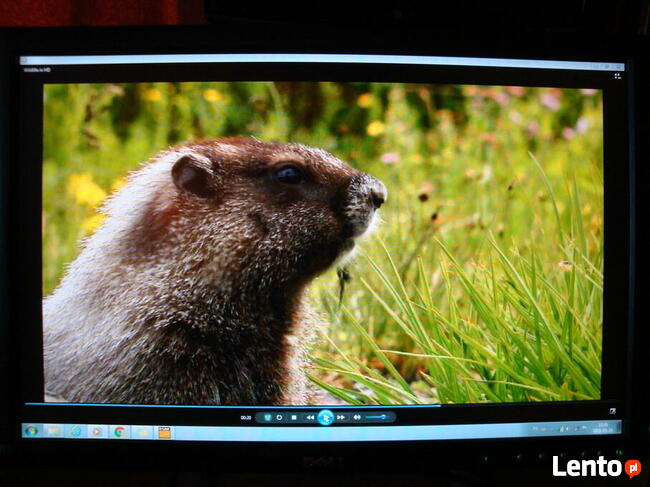 MONITOR DELL 20 cali