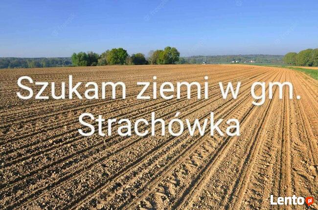 Szukam ziemi w gm. Strachówka, powiat Wołomiński