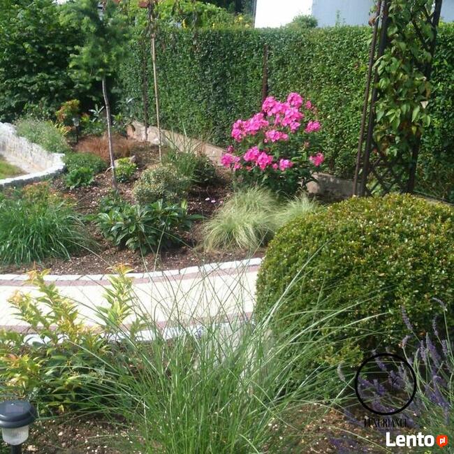 Jednorazowe pielęgnacja i realizacja ogrodu Warszawa