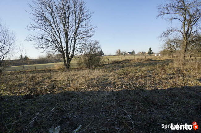 Biała Piska (gw), Drygały Dom