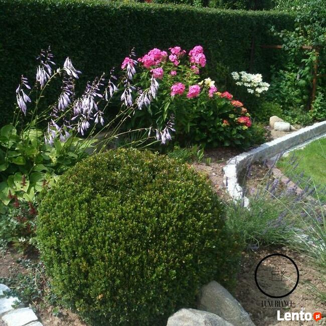 Jednorazowe pielęgnacja i realizacja ogrodu Warszawa