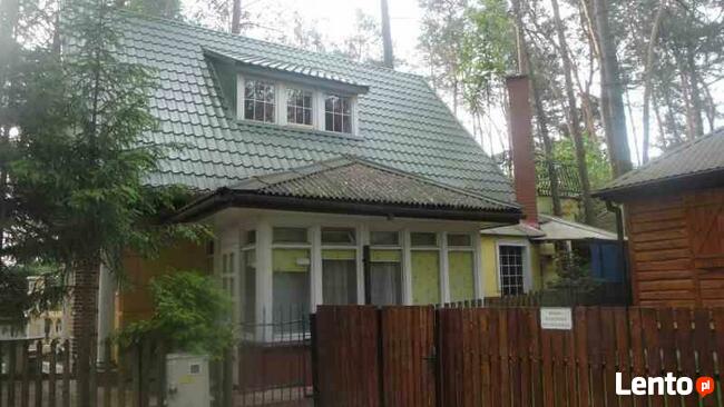 Jezioro Białe Okuninka k/Włodawa