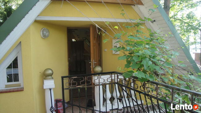 Jezioro Białe Okuninka k/Włodawa