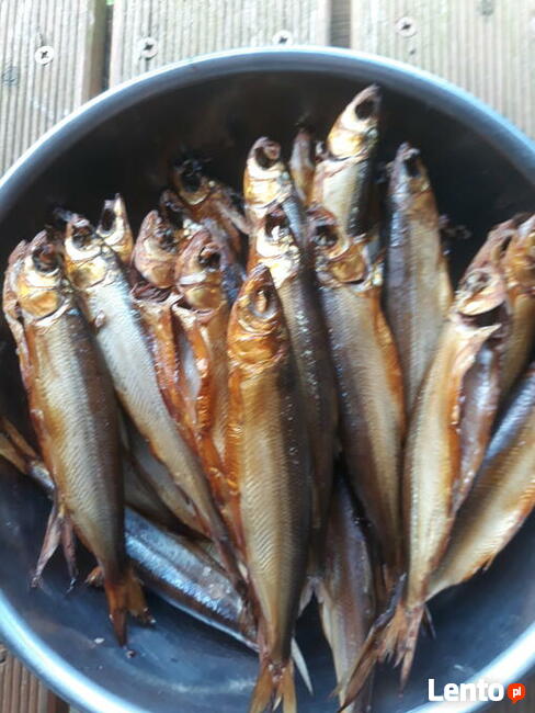 szukam dojrzałej Kobiety