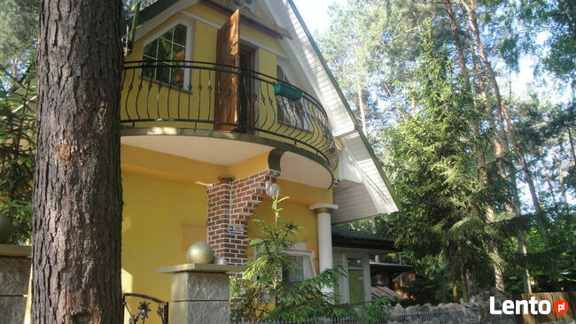 Jezioro Białe Okuninka k/Włodawa