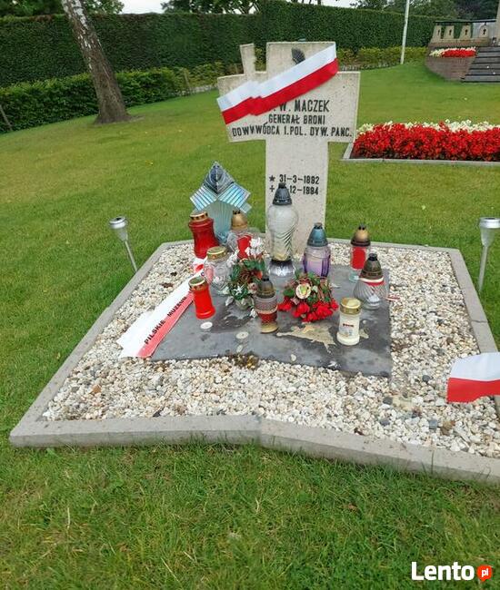 szukam dojrzałej Kobiety