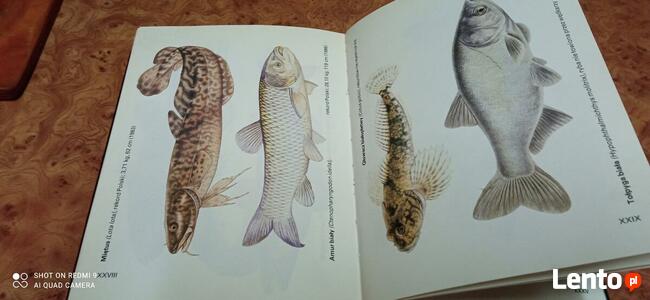 Abc wędkarza stan jak nowy sprzedam