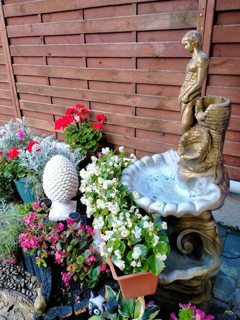 Nocleg Tanio tel.512344279 TANI NOCLEG SENIOR Władysławowo