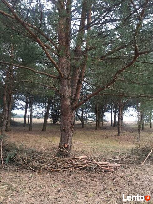 Działka budowlana w Pasymiu