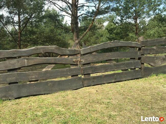 Działka budowlana w Pasymiu