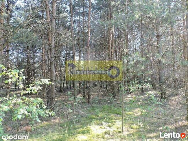 Działka w miejscowości Kłudno.