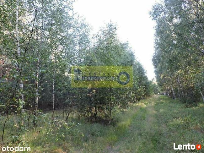 Działka w miejscowości Kłudno.