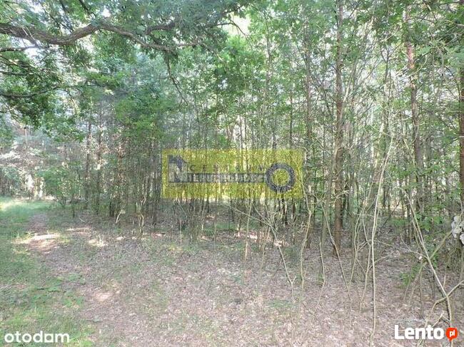 Działka Nad Zalewem W Domaniowie - Brudnów