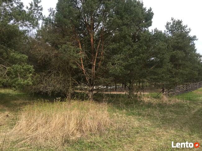 Działka budowlana w Pasymiu