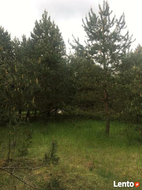 Działka budowlana w Pasymiu