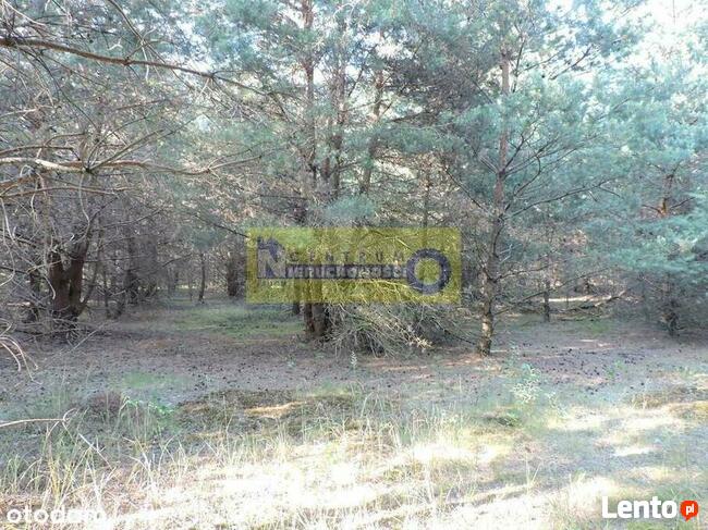 Działka w miejscowości Kłudno.