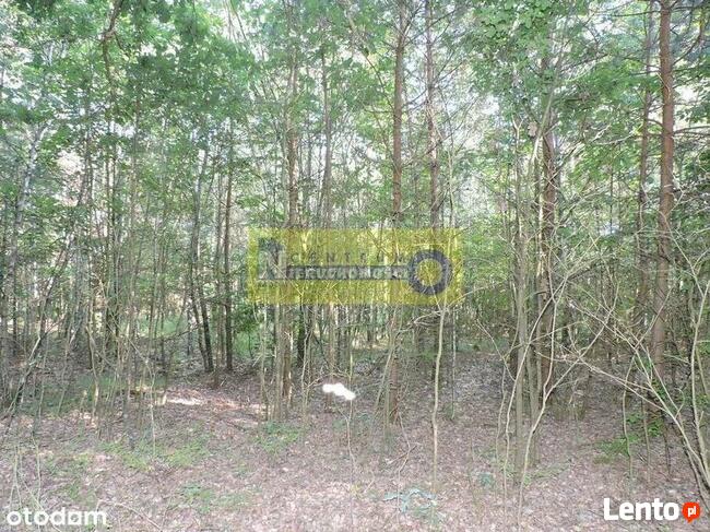 Działka Nad Zalewem W Domaniowie - Brudnów