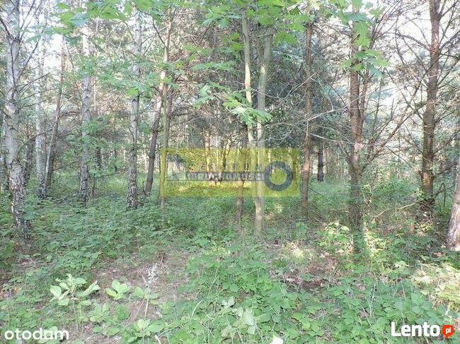 Działka Nad Zalewem W Domaniowie - Brudnów