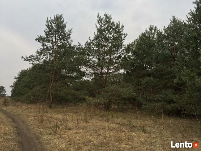 Działka budowlana w Pasymiu