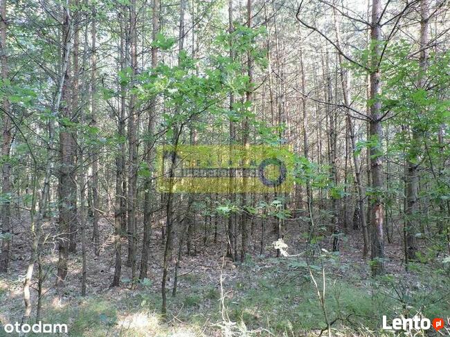 Działka Nad Zalewem W Domaniowie - Brudnów