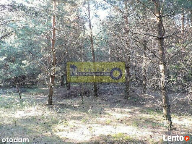 Działka w miejscowości Kłudno.