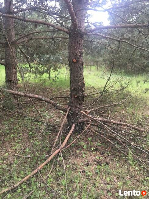 Działka budowlana w Pasymiu
