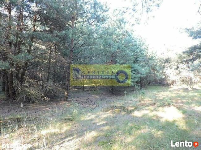 Działka w miejscowości Kłudno.