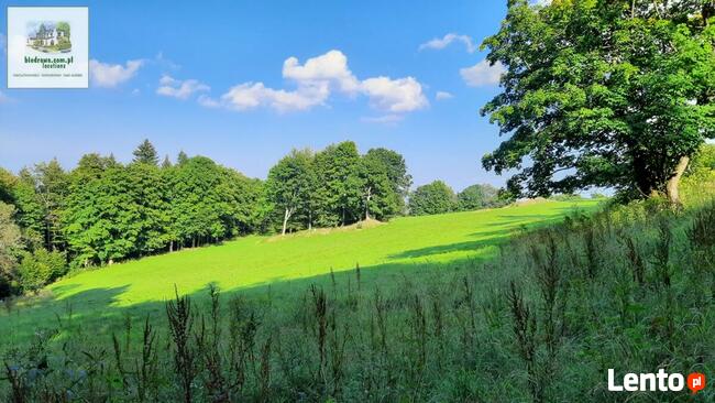 Zieleniec ostatnia działka 50 arów pod pensjonat hotel domki
