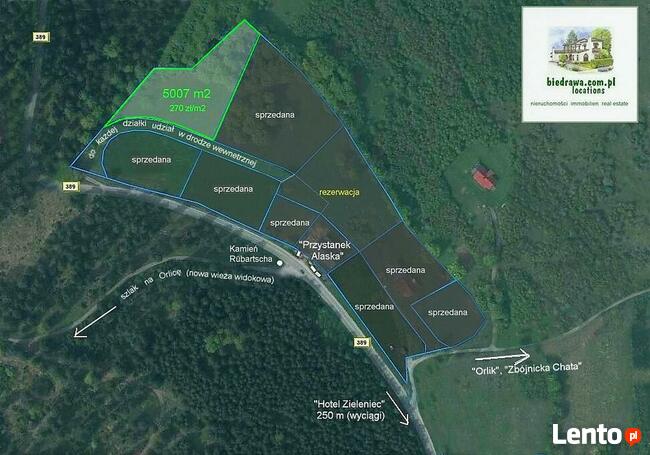 Zieleniec ostatnia działka 50 arów pod pensjonat hotel domki