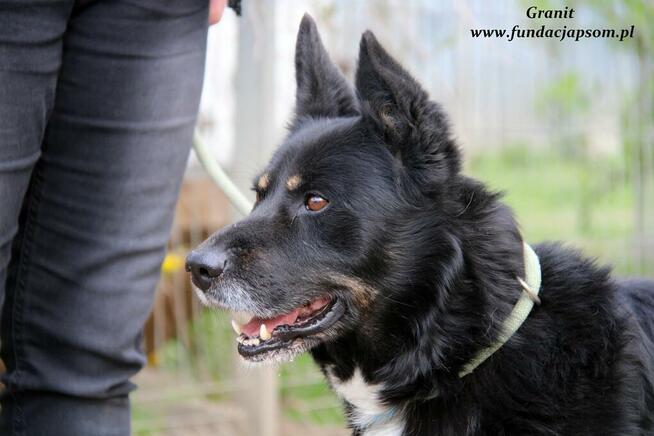 Granit - spokojny średniaczek