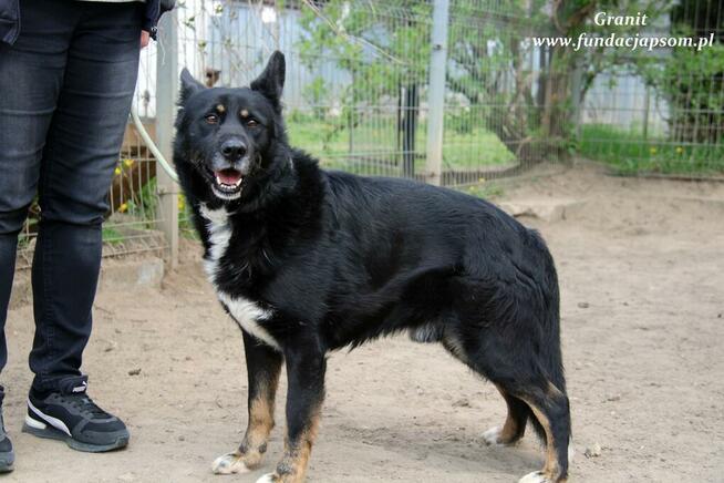 Granit - spokojny średniaczek