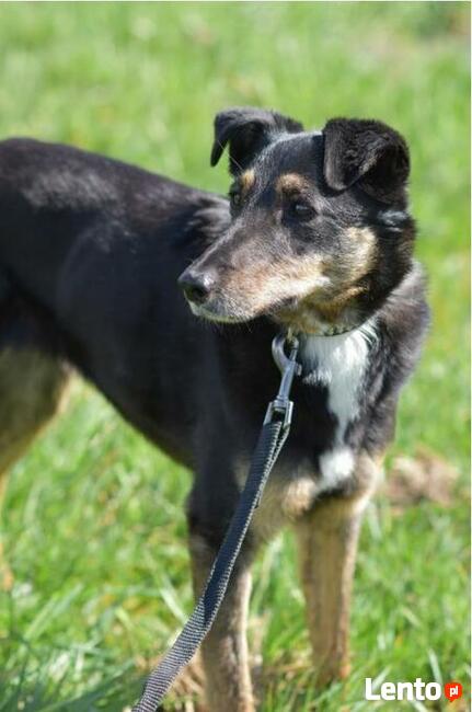 Rafia - ciekawa świata, choć jeszcze troszkę zdystansowana..