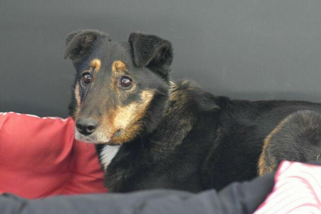 Rafia - ciekawa świata, choć jeszcze troszkę zdystansowana..