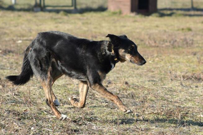 Rafia - ciekawa świata, choć jeszcze troszkę zdystansowana..
