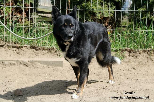 Granit - spokojny średniaczek