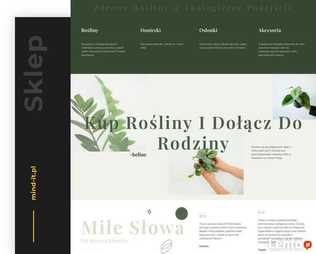 Strony internetowe | Sklepy internetowe | Projekty graficzne