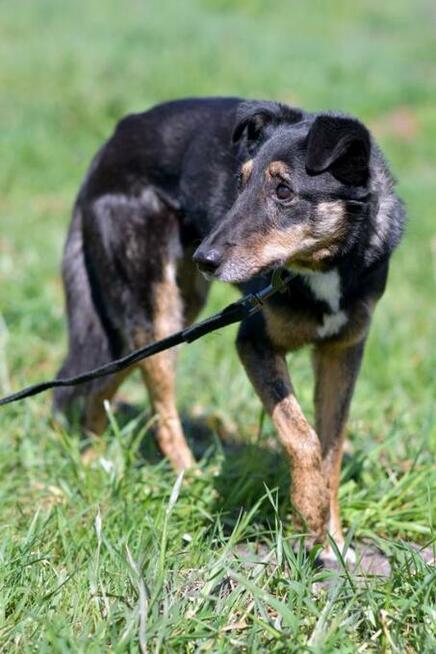 Rafia - ciekawa świata, choć jeszcze troszkę zdystansowana..