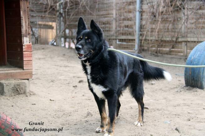 Granit - spokojny średniaczek