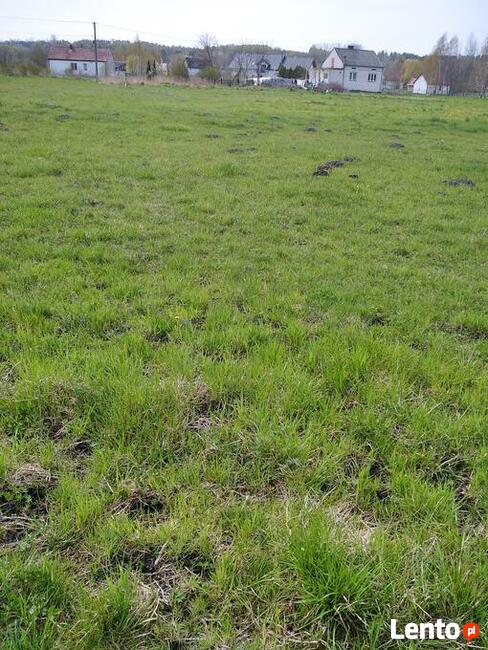 Działka budowlana 1388 m2 Brzescie 2 km od Pińczowa