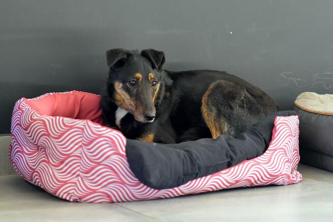 Rafia - ciekawa świata, choć jeszcze troszkę zdystansowana..